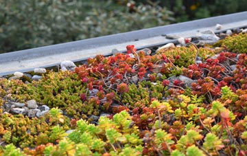 the cost of Cranage green roof installation