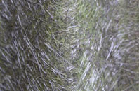 Cranage fibreglass roof work