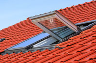 Cranage roof window